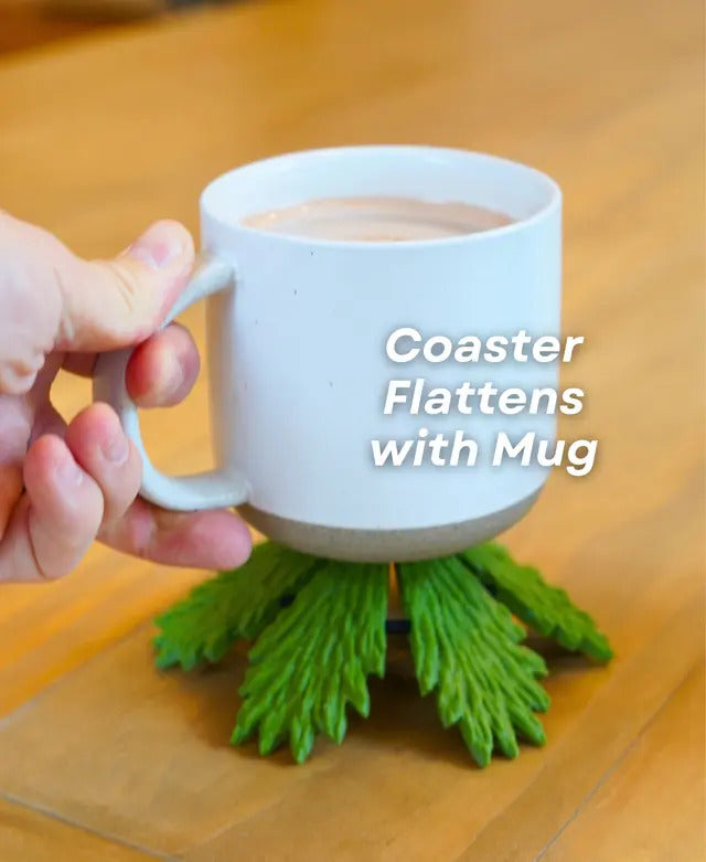 Christmas Coaster Set