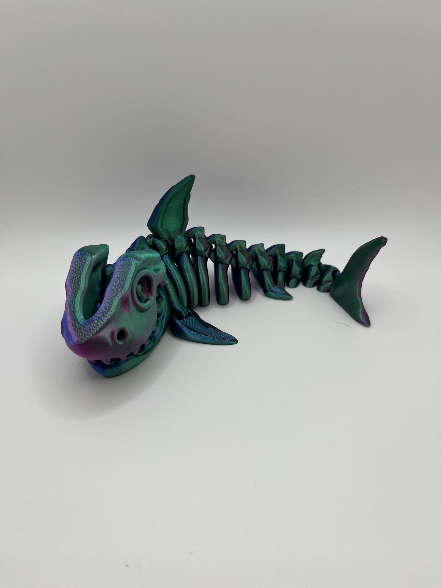 Shark Fossil