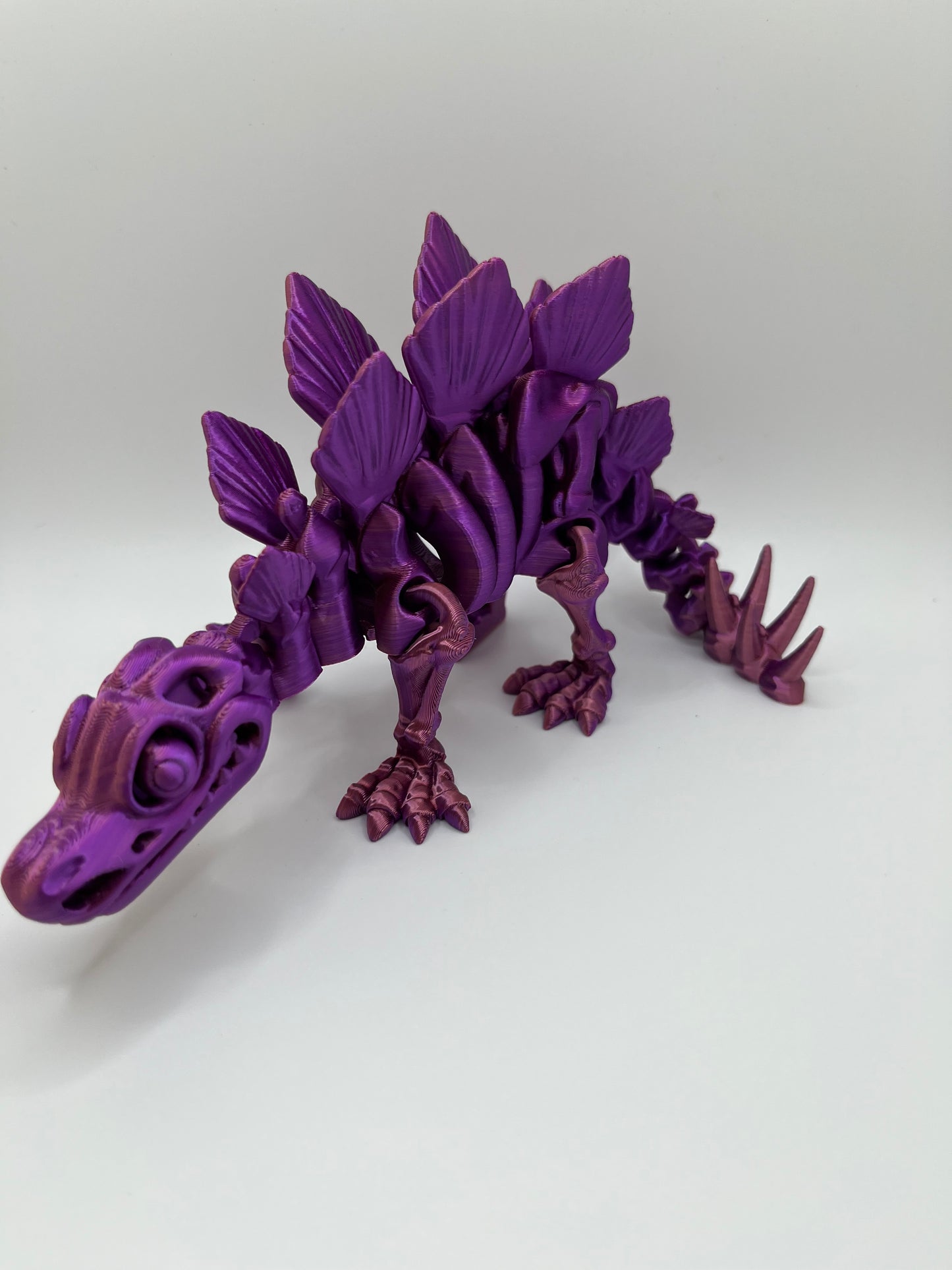Stegosaurus Fossil