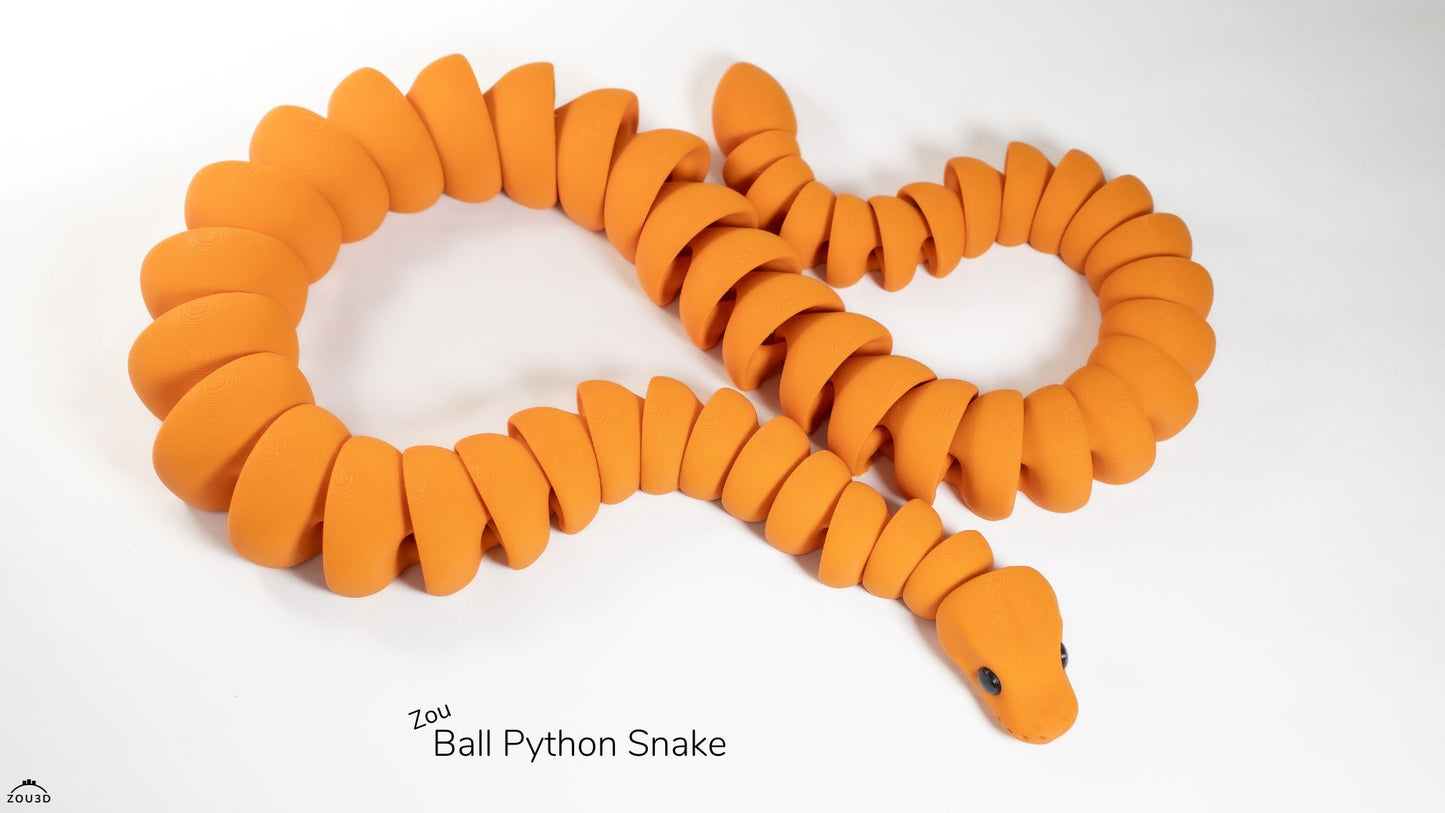Ball Python Snake