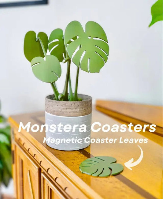 Monstera Coaster Set